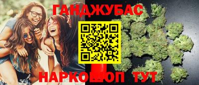 сатива Белореченск