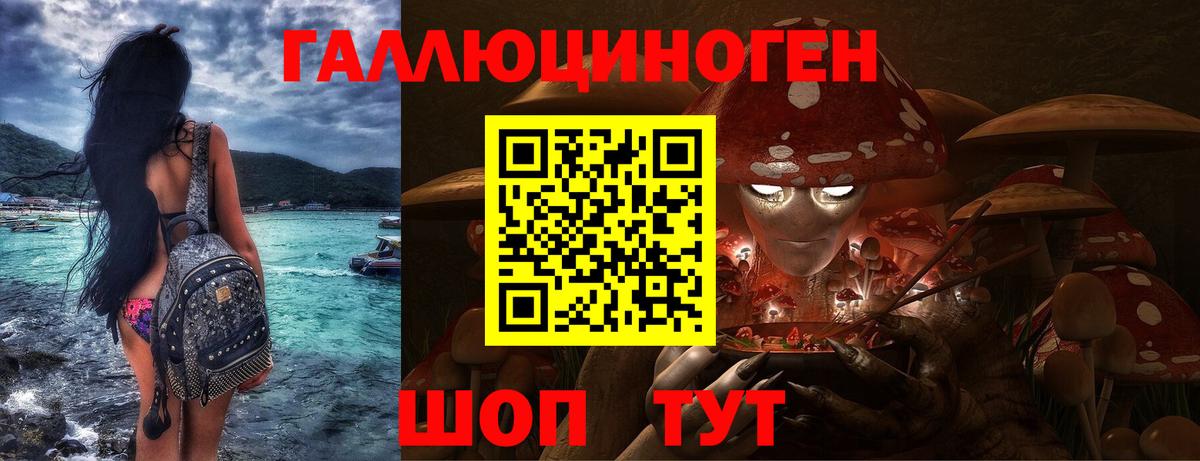 Галлюциногенные грибы Psilocybine cubensis Волгоград