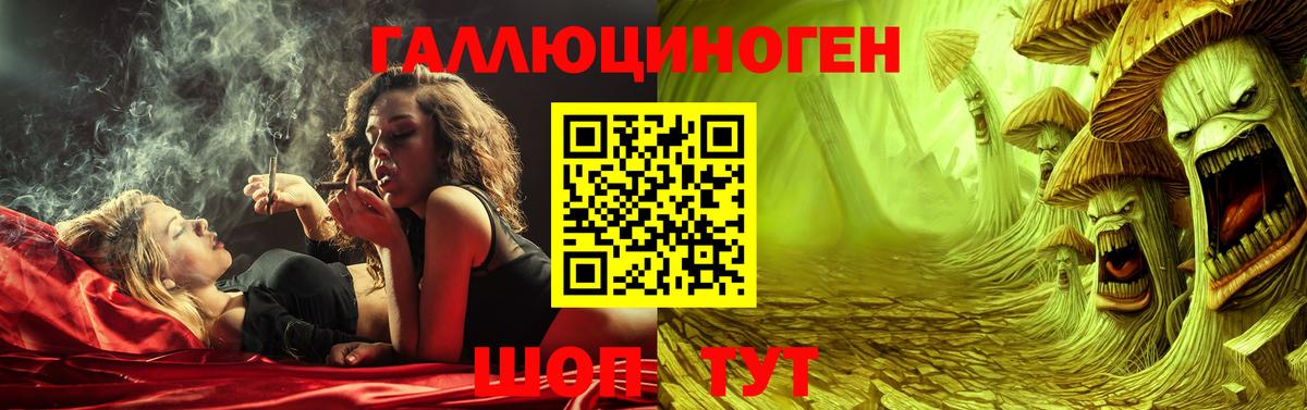 Галлюциногенные грибы MAGIC MUSHROOMS  Вход с VPN  Псилоцибиновые грибы Psilocybe  купить наркотики сайты  Волгоград 